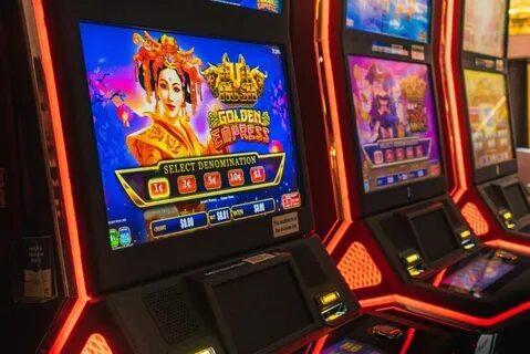 win23 cassino 